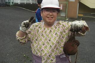 さつまいもが大きく育って、本当に良かったです