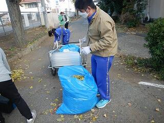 落ち葉掃き