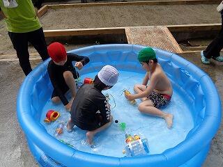 みんなで仲良く遊んでいます。