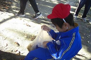 落ち葉を拾っています