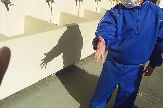 影あそびを楽しんでいます。