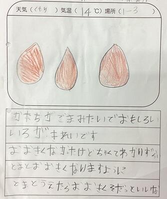 種の観察