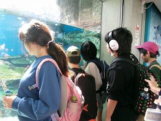 水族館の魚を見ています。