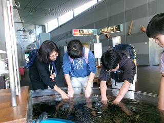 魚を触る体験もしました。