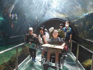 水族館での様子です。