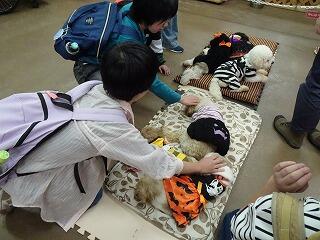 犬や猫と触れ合っています。