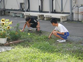 除草する生徒と先生